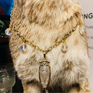 taxidermy style cicada bug necklace